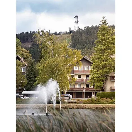 Hexenglueck Hahnenklee Dom wakacyjny *