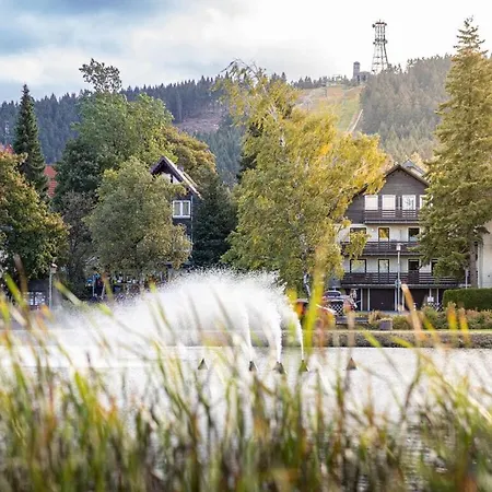 Hexenglueck Hahnenklee Dom wakacyjny Goslar
